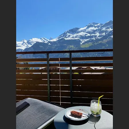Am Acher Penthouse Apartment Wengen